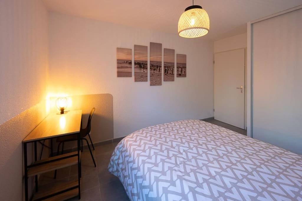 Appartement L'Oeil De Tigre à Colomiers Extérieur photo