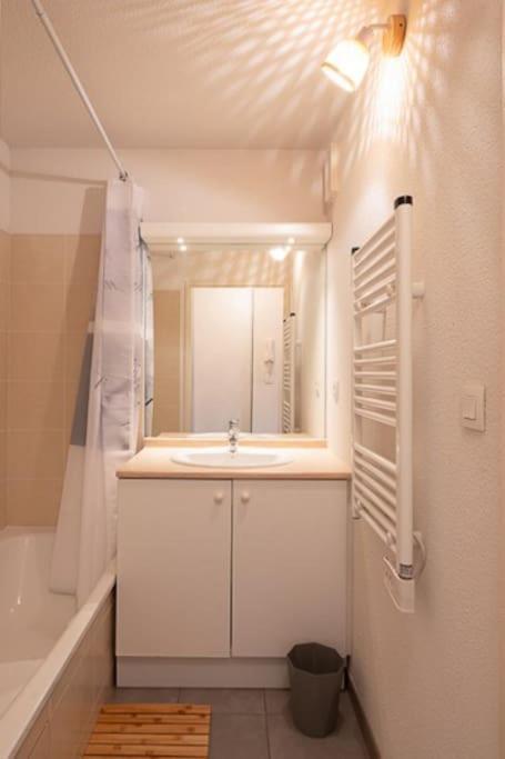Appartement L'Oeil De Tigre à Colomiers Extérieur photo